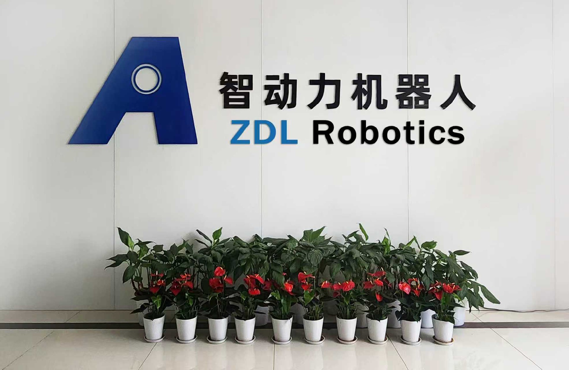 1767516277477366.jpg 微信图片_20250716101009_156.jpg